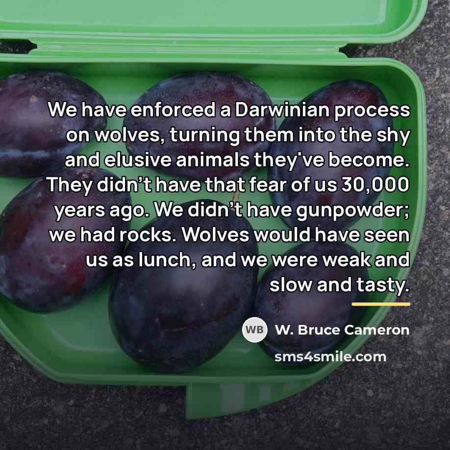 “We have enforced a Darwinian process on wolves, turning them…” quote by W. Bruce Cameron