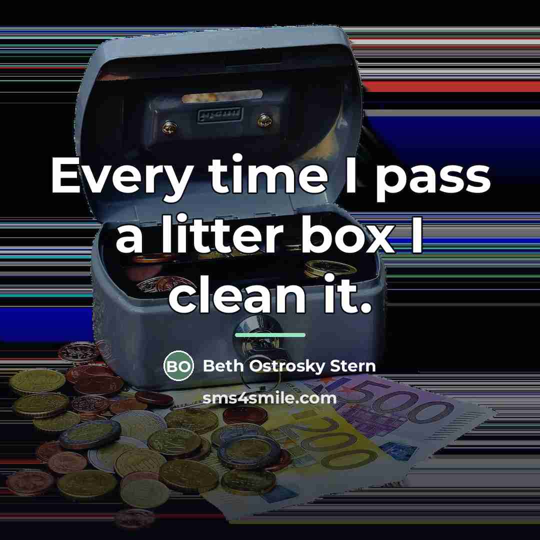 “Every time I pass a litter box I clean it.…” quote by Beth Ostrosky Stern