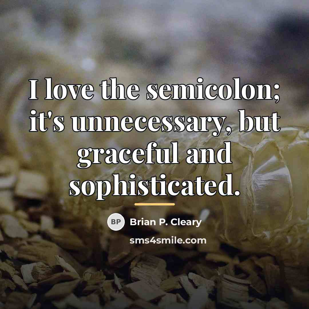 “I love the semicolon; it's unnecessary, but graceful and sophisticated.…” quote by Brian P. Cleary