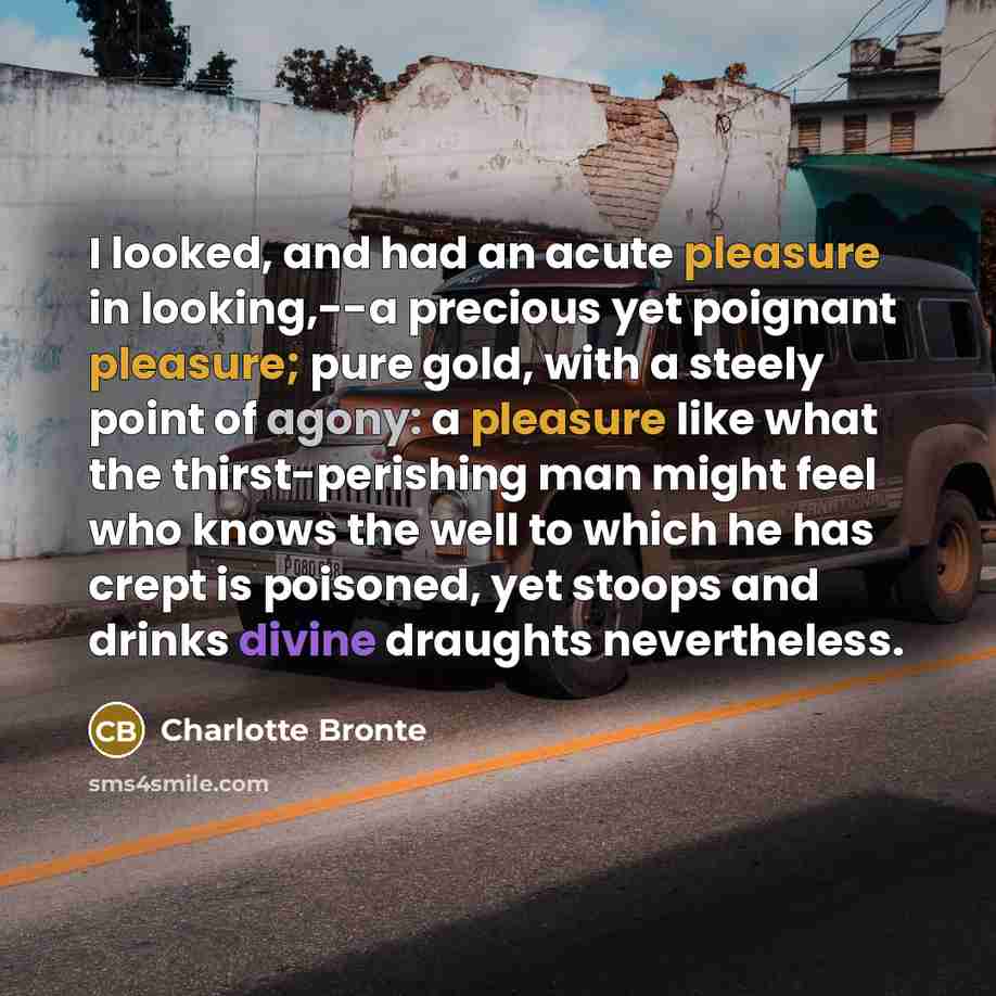 “I looked, and had an acute pleasure in looking,--a precious…” quote by Charlotte Bronte