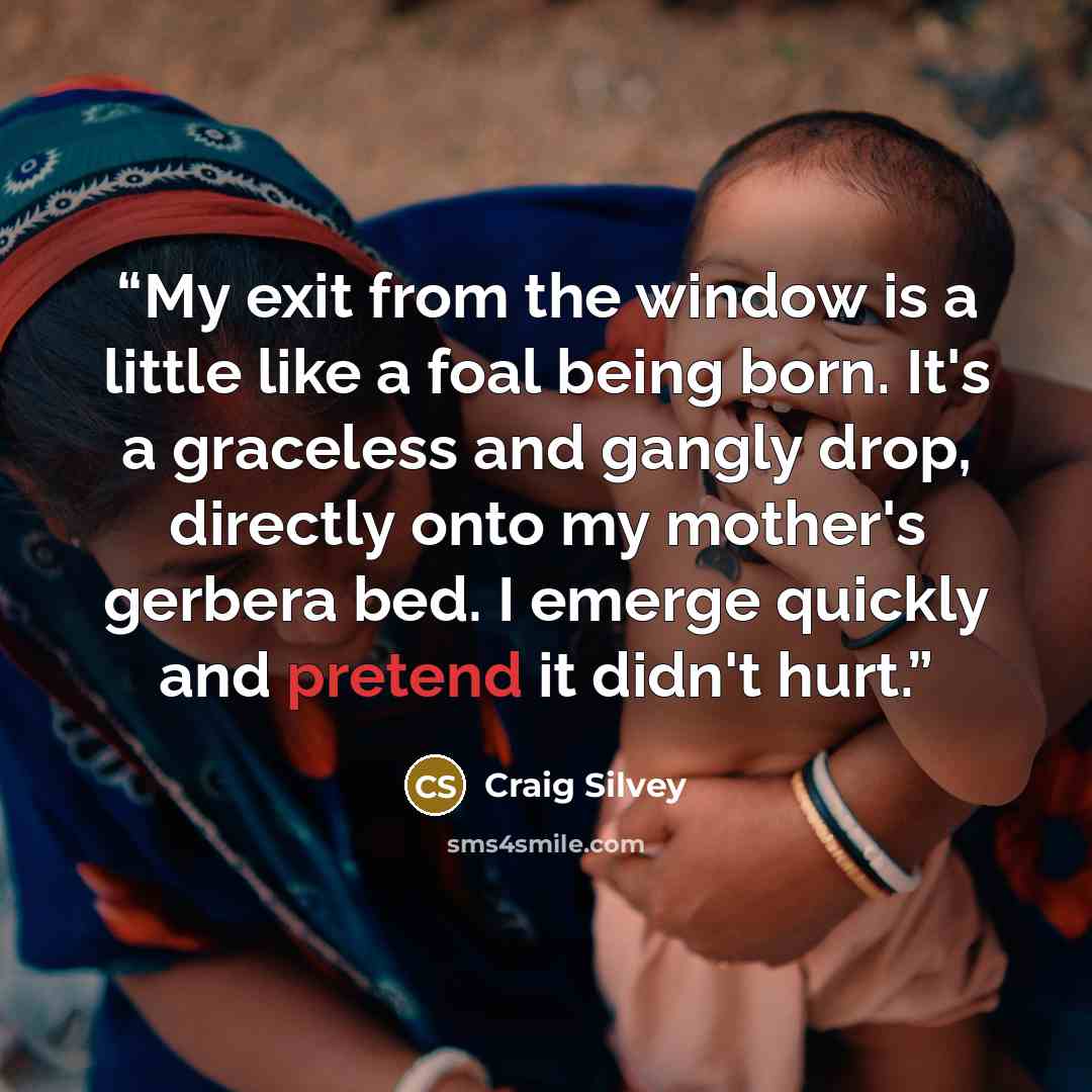 “My exit from the window is a little like a foal being born. It's a graceless and gangly drop, directly onto my mother's gerbera bed. I emerge quickly and pretend it didn't hurt.” quote by Craig Silvey