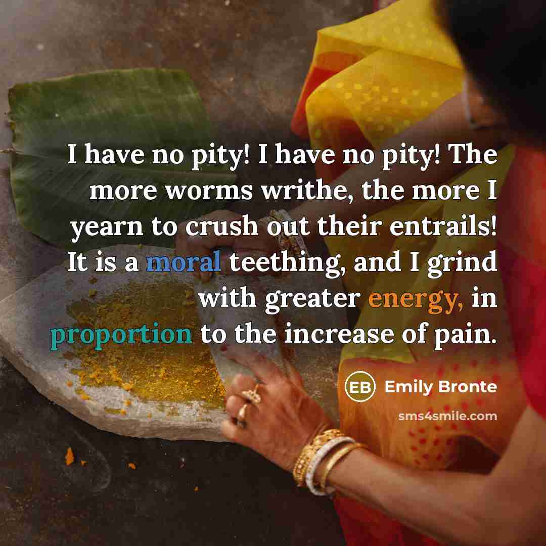 “I have no pity! I have no pity! The more…” quote by Emily Bronte