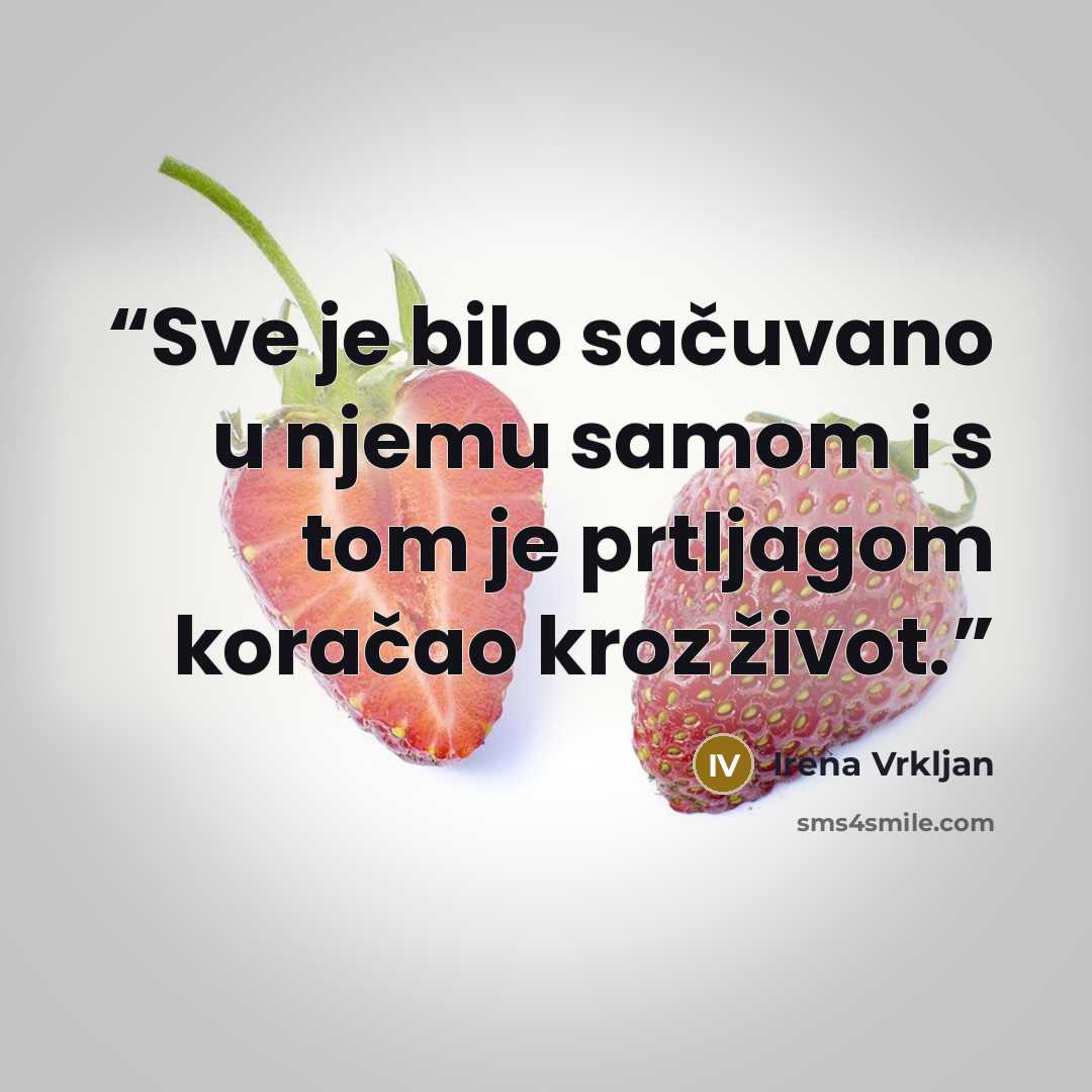 “Sve je bilo sačuvano u njemu samom i s tom je prtljagom koračao kroz život.” quote by Irena Vrkljan