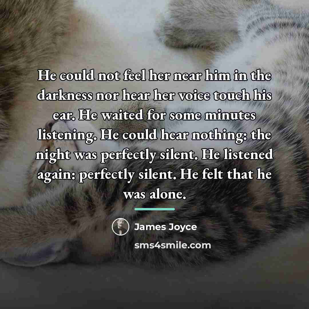 “He could not feel her near him in the darkness…” quote by James Joyce