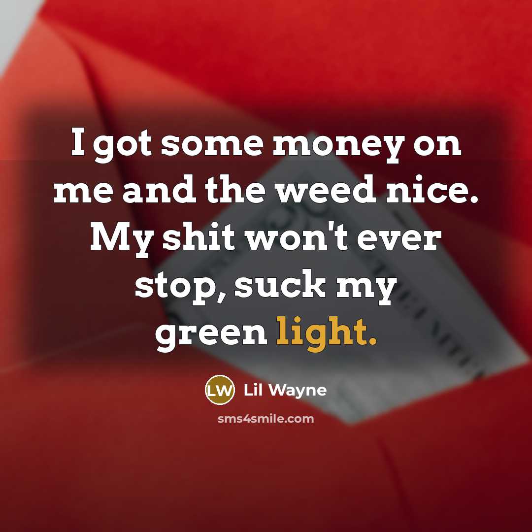 “I got some money on me and the weed nice. My shit won't ever stop, suck my green light.” quote by Lil Wayne