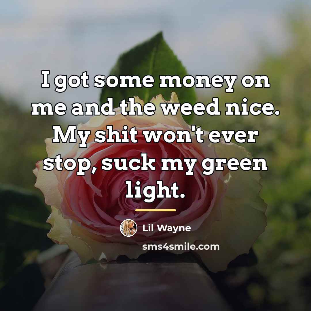 “I got some money on me and the weed nice.…” quote by Lil Wayne