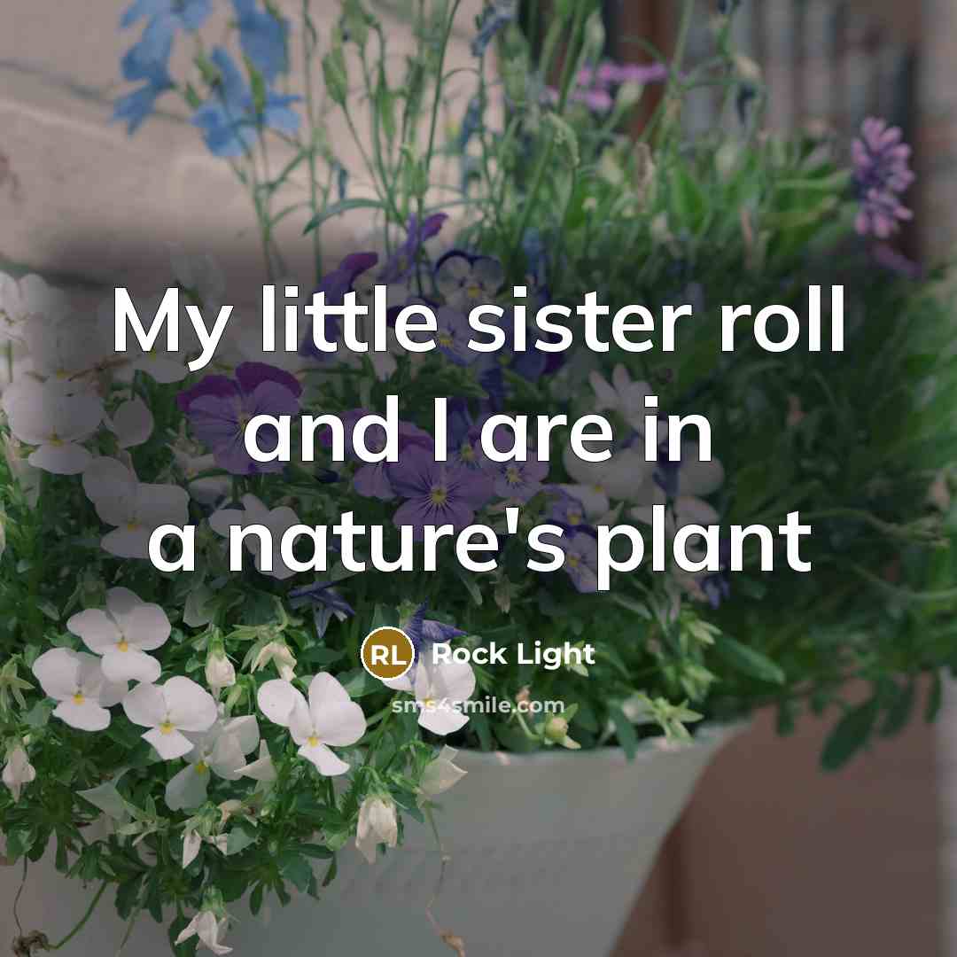 “My little sister roll and I are in a nature's…” quote by Rock Light
