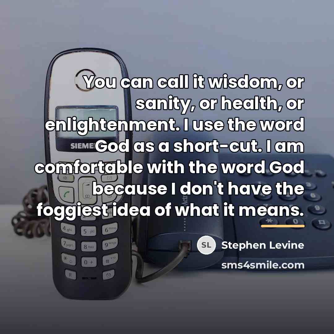 “You can call it wisdom, or sanity, or health, or…” quote by Stephen Levine
