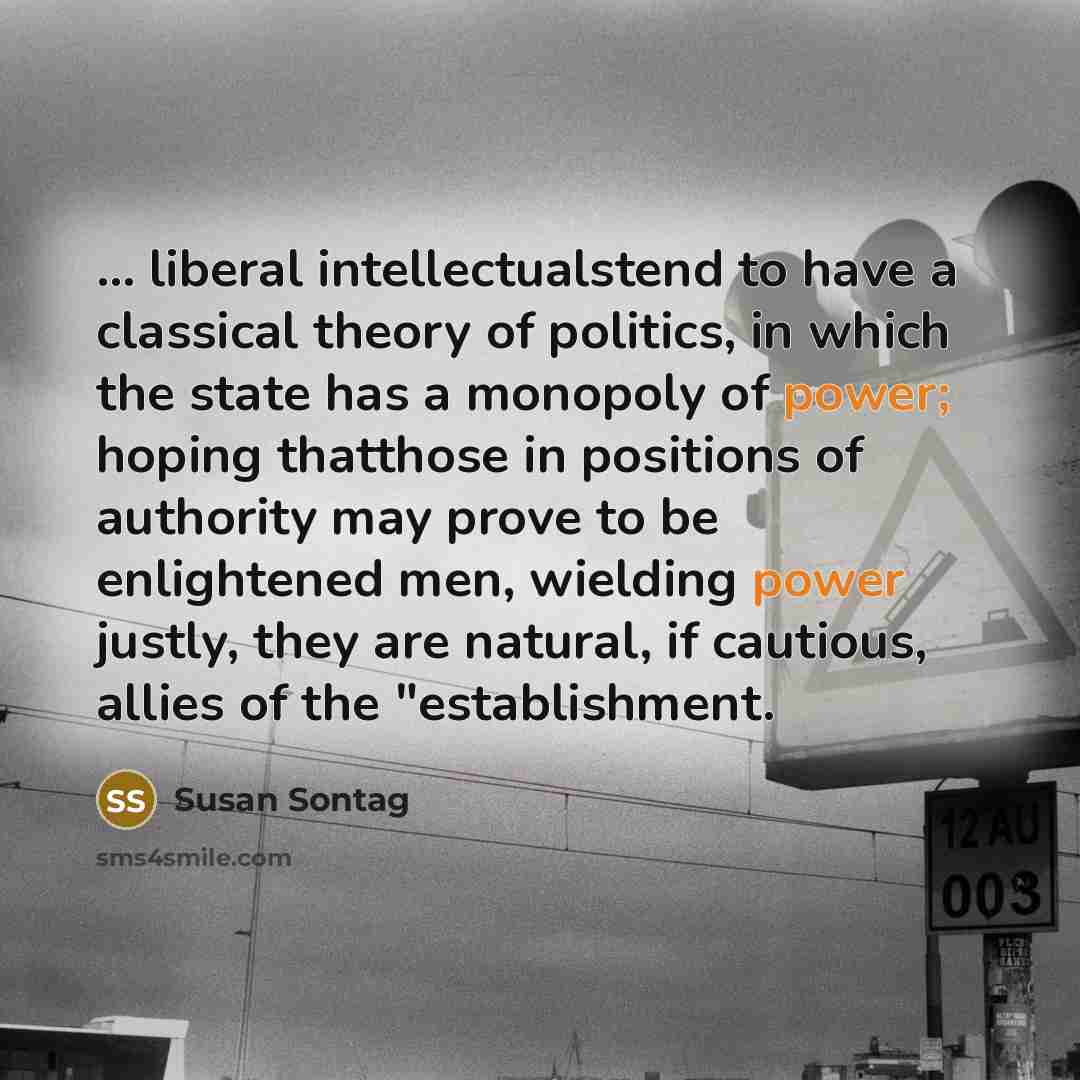 “... liberal intellectualstend to have a classical theory of politics,…” quote by Susan Sontag