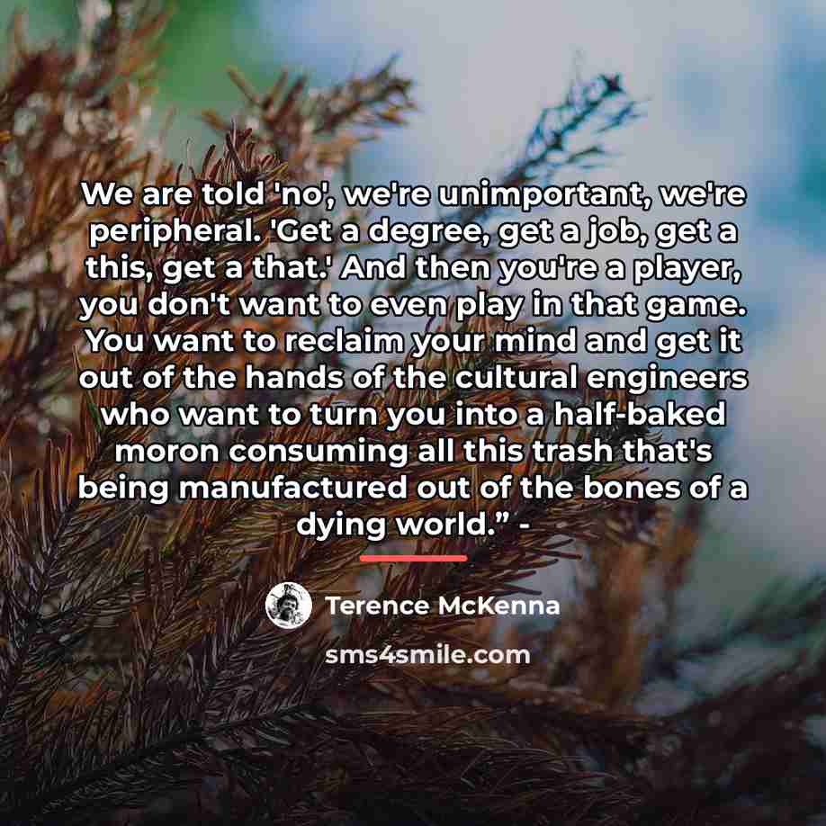 “We are told 'no', we're unimportant, we're peripheral. 'Get a…” quote by Terence McKenna