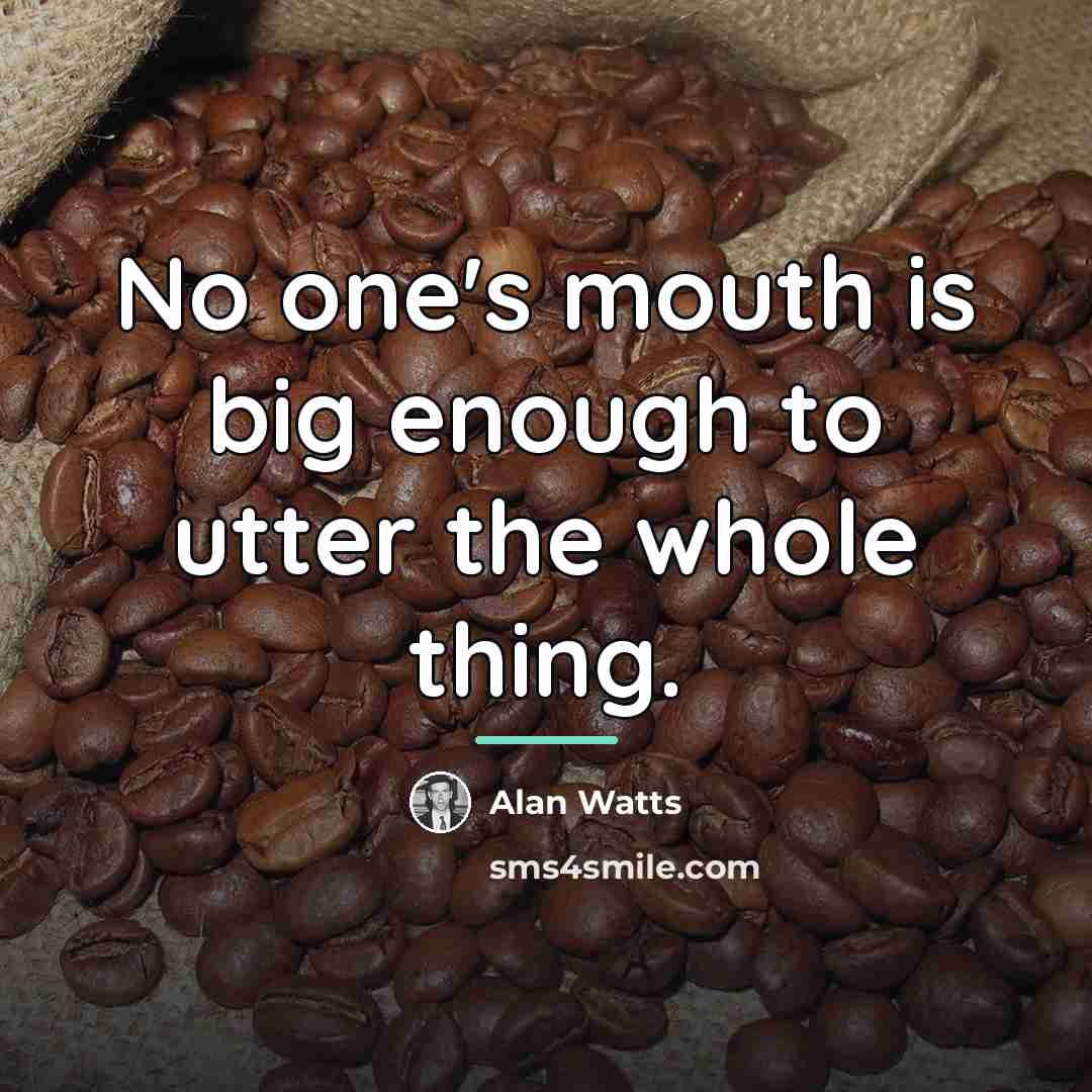 “No one's mouth is big enough to utter the whole…” quote by Alan Watts
