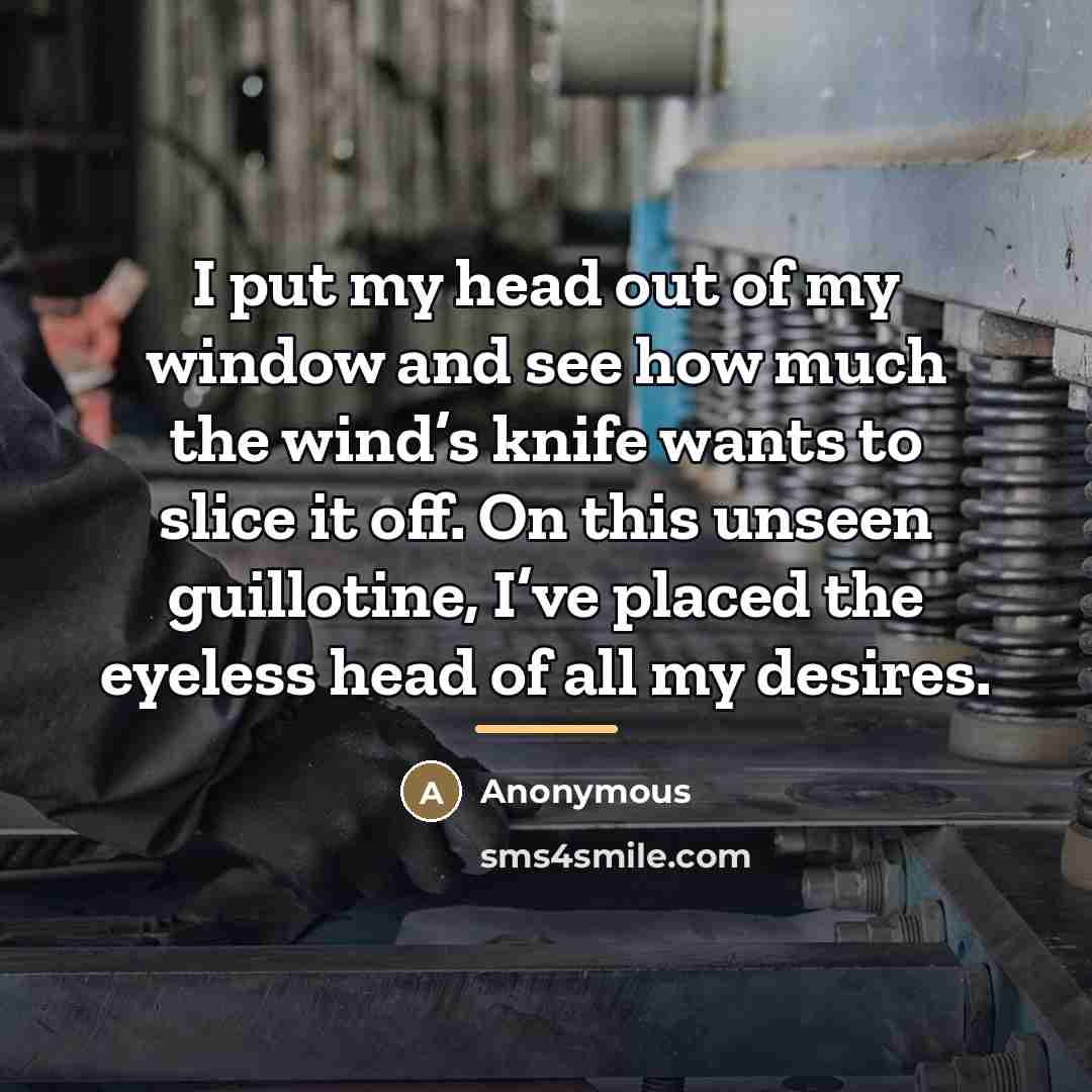 “I put my head out of my window and see…” quote by Anonymous