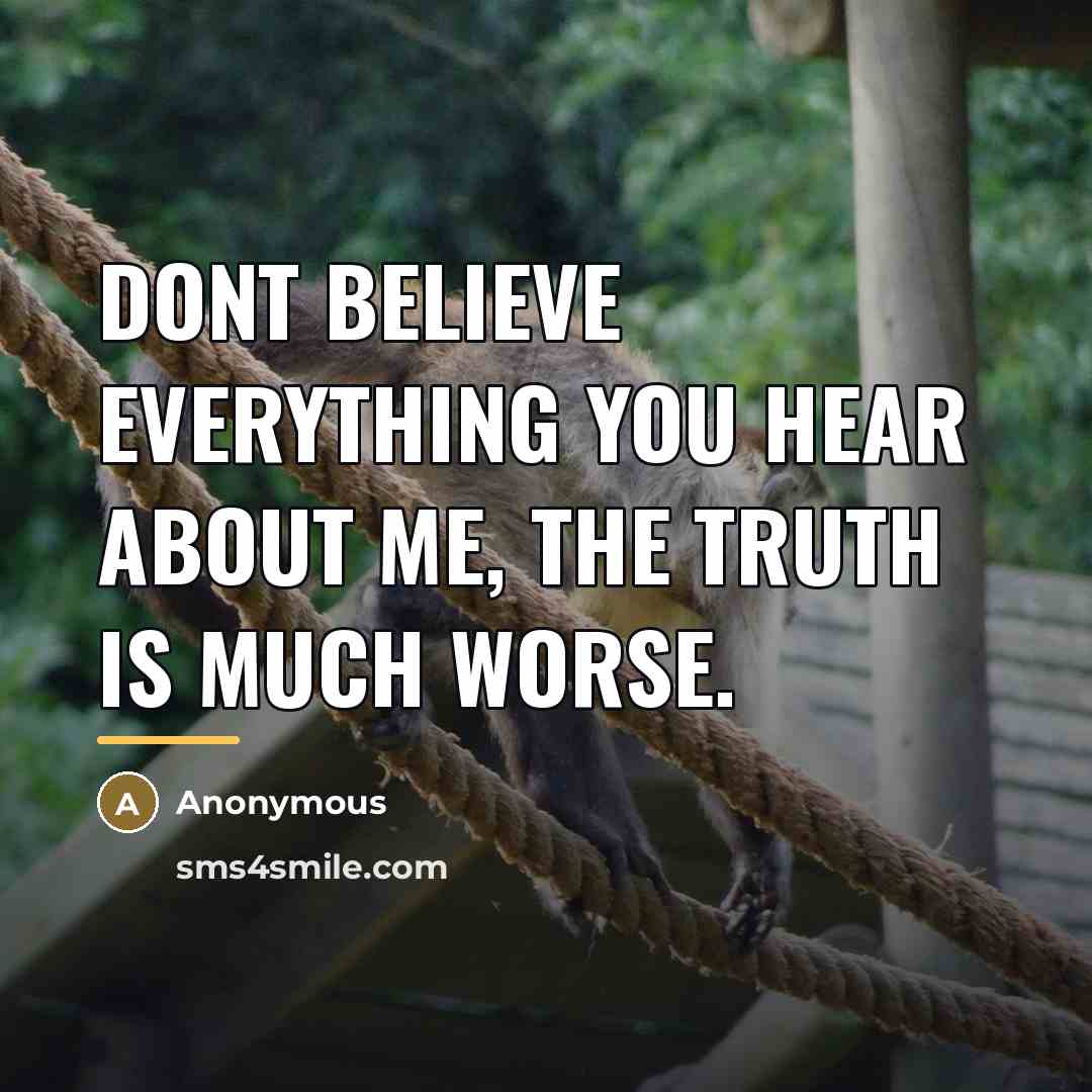 “Dont believe everything you hear about me, the truth is…” quote by Anonymous