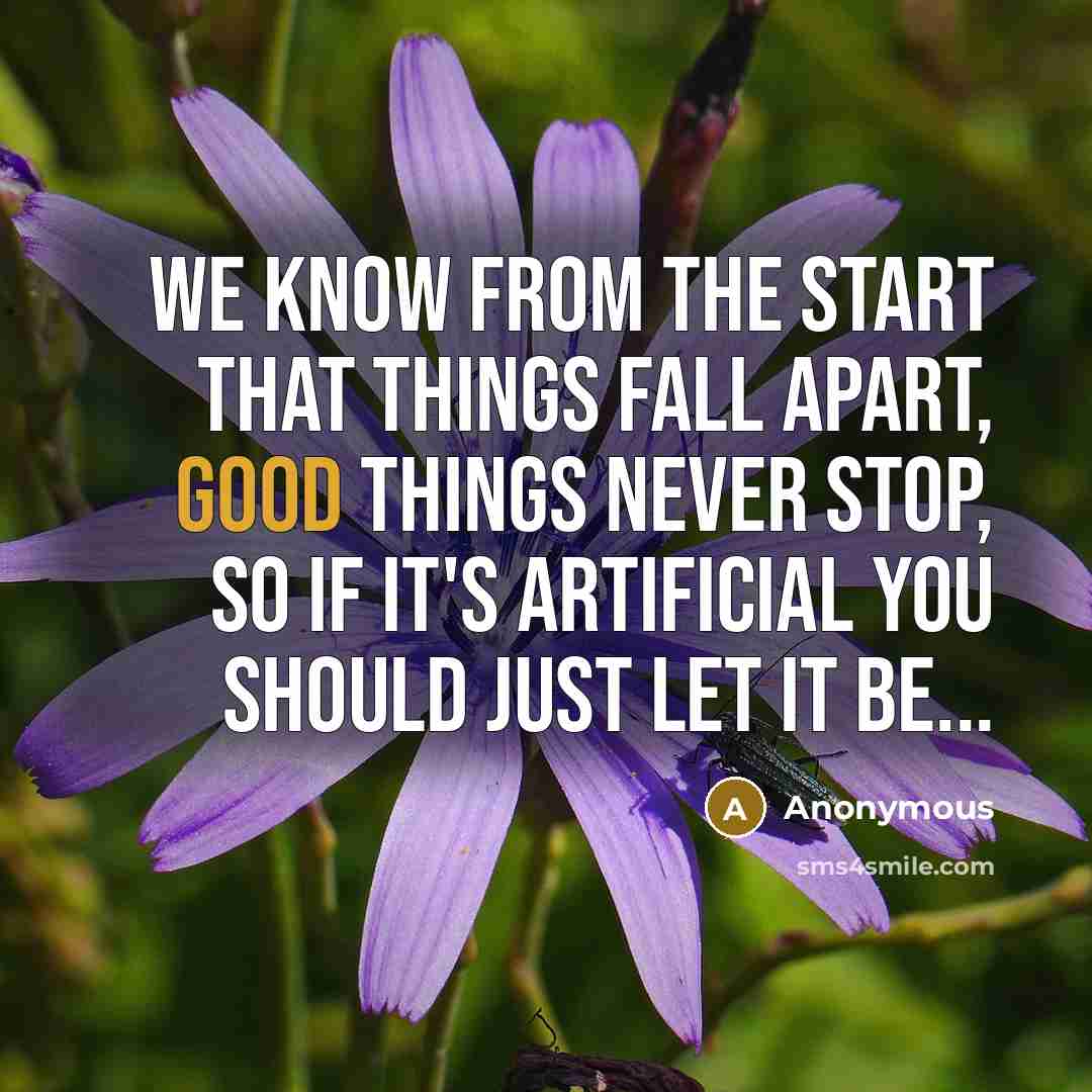 “We know from the start that things fall apart, good things never stop, so if it's artificial you should just let it be...” quote by Anonymous