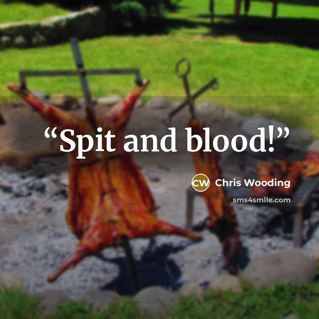 “Spit and blood!” quote by Chris Wooding