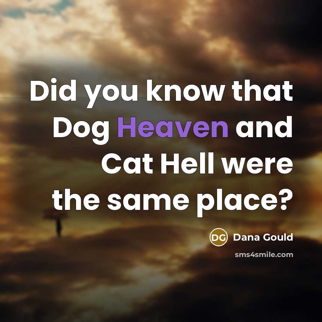 “Did you know that Dog Heaven and Cat Hell were…” quote by Dana Gould