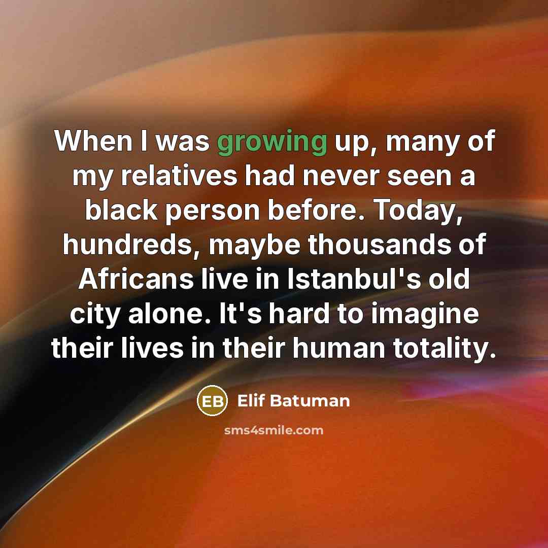 “When I was growing up, many of my relatives had never seen a black person before. Today, hundreds, maybe thousands of Africans live in Istanbul's old city alone. It's hard to imagine their lives in their human totality.” quote by Elif Batuman