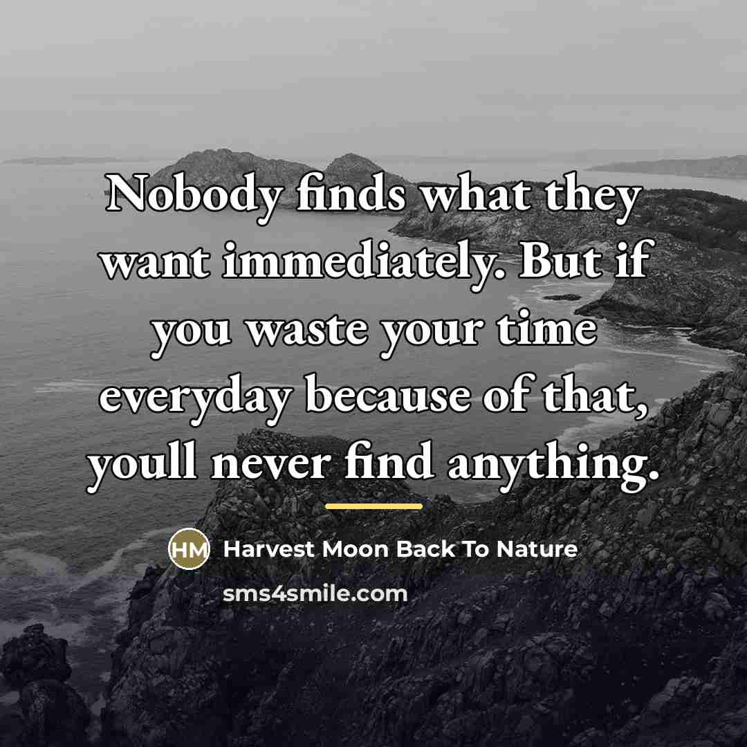 “Nobody finds what they want immediately. But if you waste…” quote by Harvest Moon Back To Nature