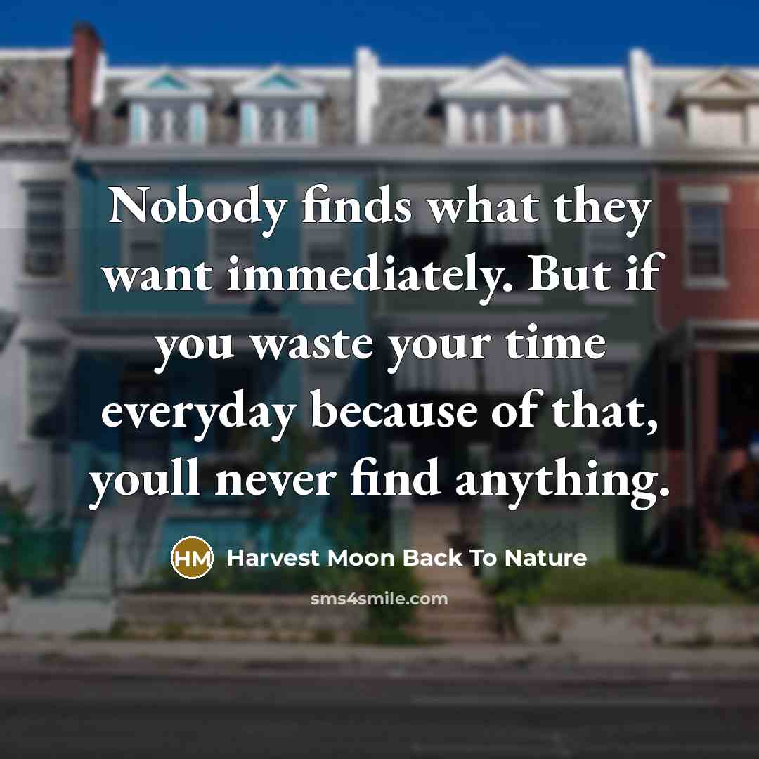 “Nobody finds what they want immediately. But if you waste your time everyday because of that, youll never find anything.” quote by Harvest Moon Back To Nature