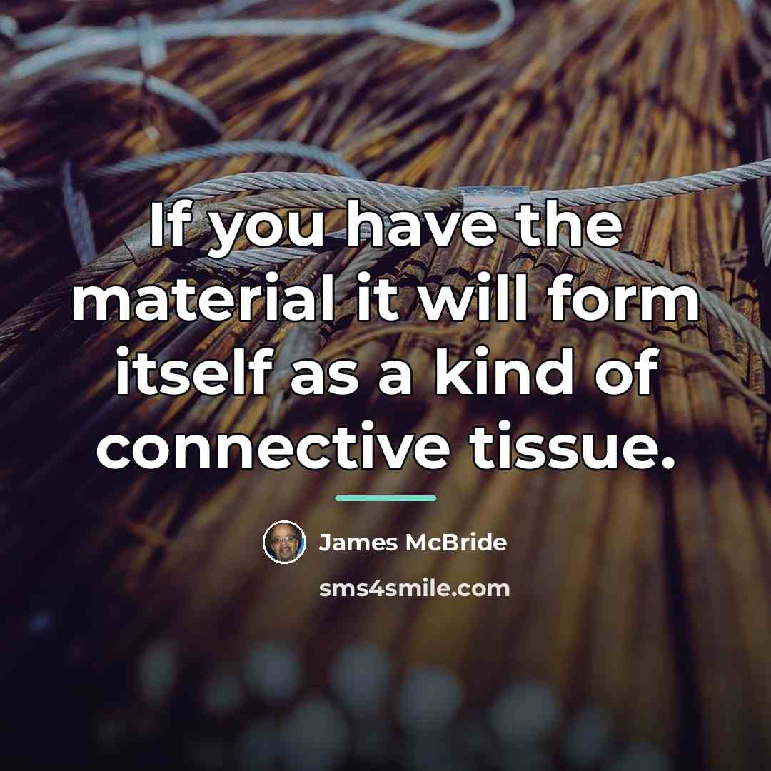 “If you have the material it will form itself as…” quote by James McBride
