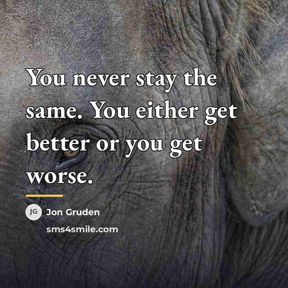 “You never stay the same. You either get better or…” quote by Jon Gruden