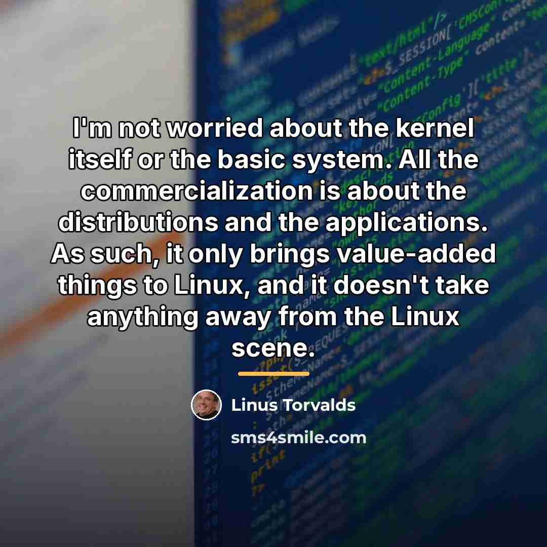“I'm not worried about the kernel itself or the basic…” quote by Linus Torvalds
