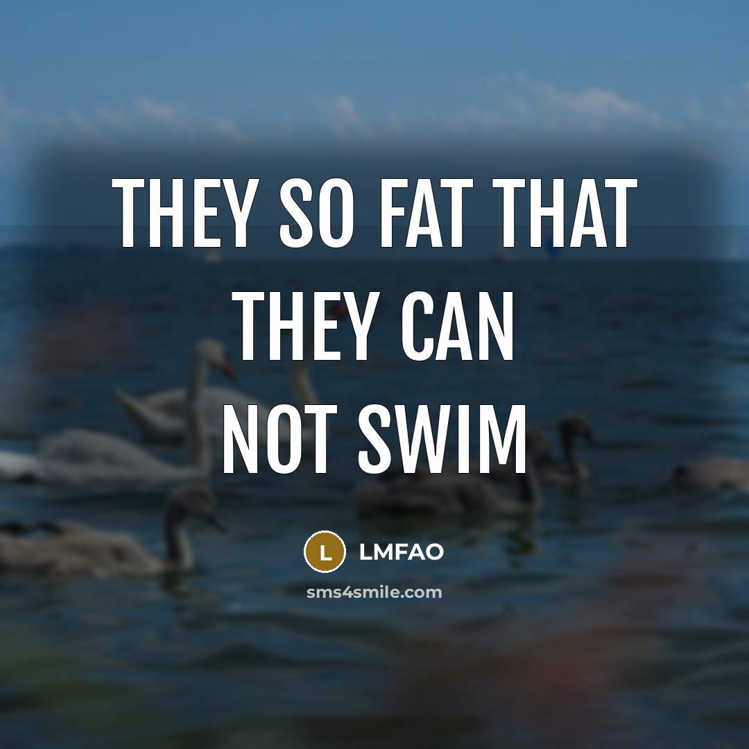 “They so fat that they can not swim…” quote by Lmfao