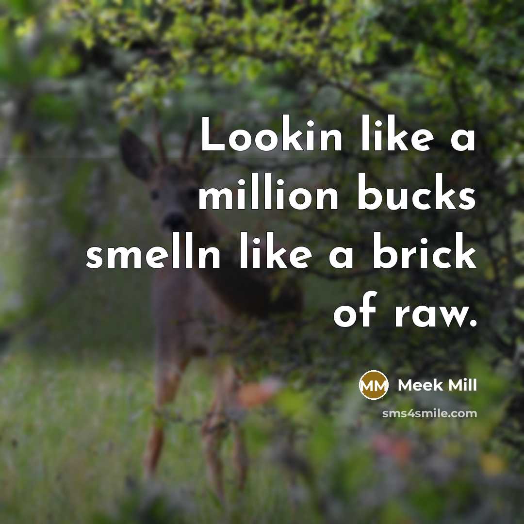 “Lookin like a million bucks smelln like a brick of…” quote by Meek Mill