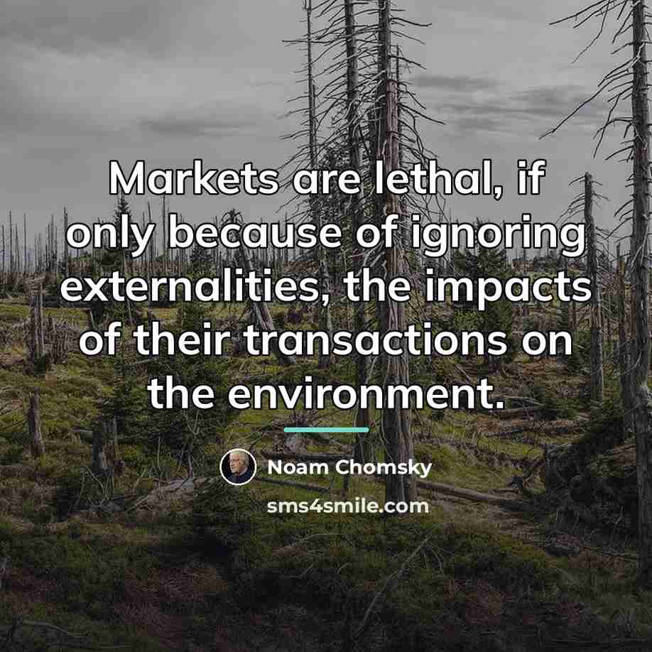 “Markets are lethal, if only because of ignoring externalities, the…” quote by Noam Chomsky