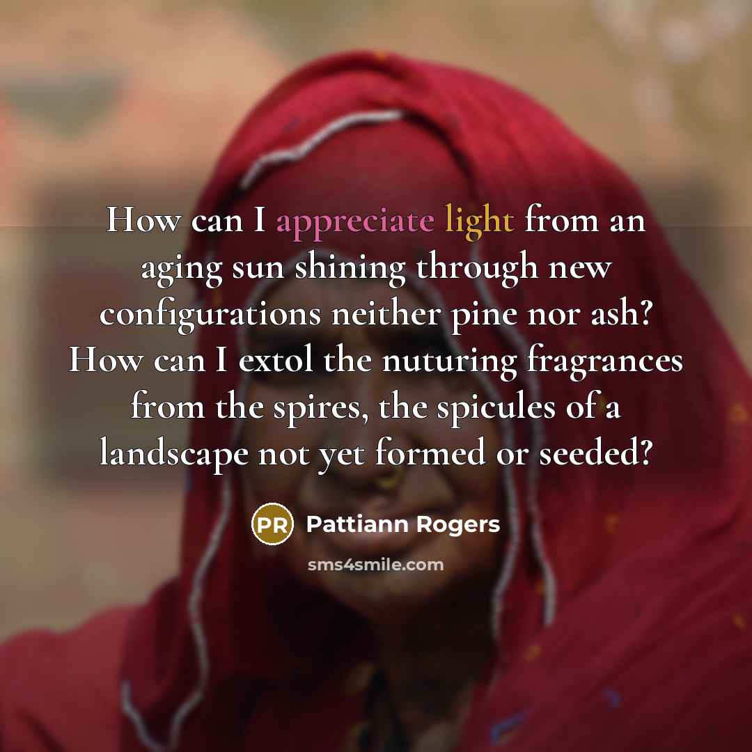 “How can I appreciate light from an aging sun shining…” quote by Pattiann Rogers