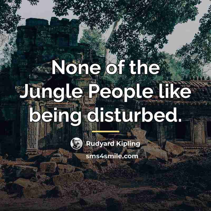 “None of the Jungle People like being disturbed.…” quote by Rudyard Kipling