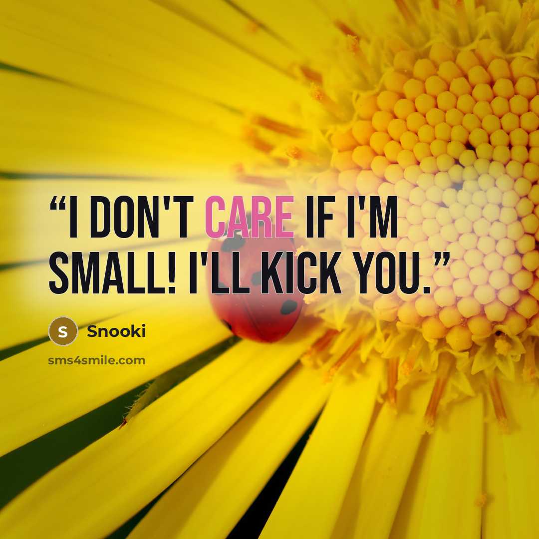 “I don't care if I'm small! I'll kick you.” quote by Snooki