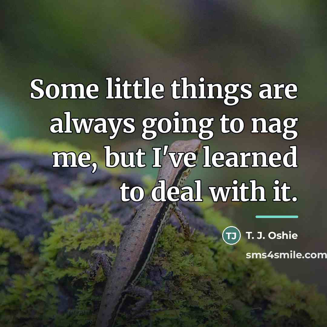 “Some little things are always going to nag me, but…” quote by T. J. Oshie