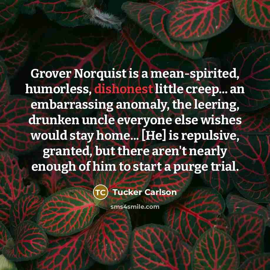 “Grover Norquist is a mean-spirited, humorless, dishonest little creep... an…” quote by Tucker Carlson
