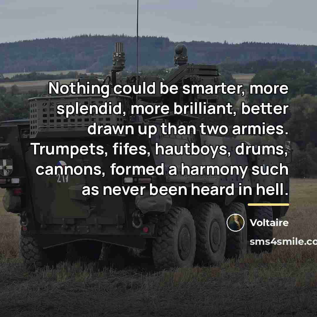 “Nothing could be smarter, more splendid, more brilliant, better drawn…” quote by Voltaire