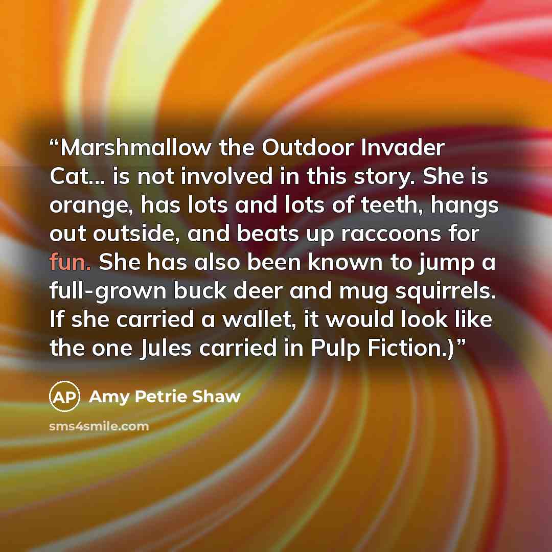 “Marshmallow the Outdoor Invader Cat... is not involved in this story. She is orange, has lots and lots of teeth, hangs out outside, and beats up raccoons for fun. She has also been known to jump a full-grown buck deer and mug squirrels. If she carried a wallet, it would look like the one Jules…” quote by Amy Petrie Shaw