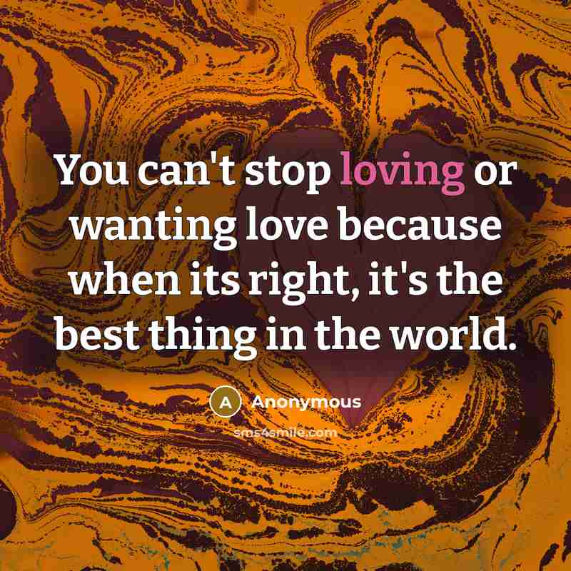 “You can't stop loving or wanting love because when its…” quote by Anonymous