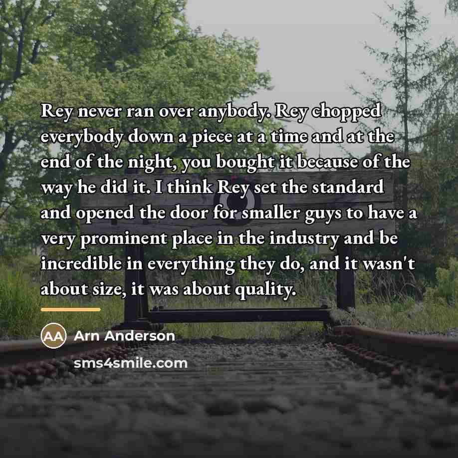 “Rey never ran over anybody. Rey chopped everybody down a…” quote by Arn Anderson