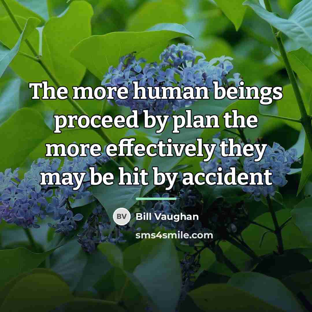 “The more human beings proceed by plan the more effectively…” quote by Bill Vaughan