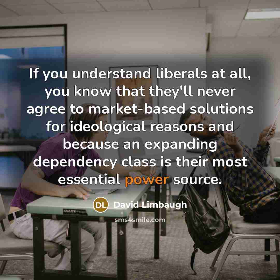 “If you understand liberals at all, you know that they'll…” quote by David Limbaugh