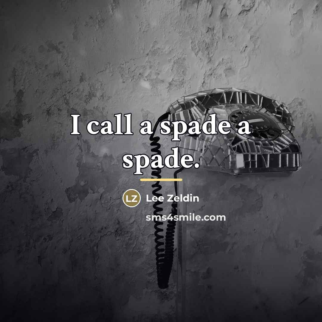 “I call a spade a spade.…” quote by Lee Zeldin