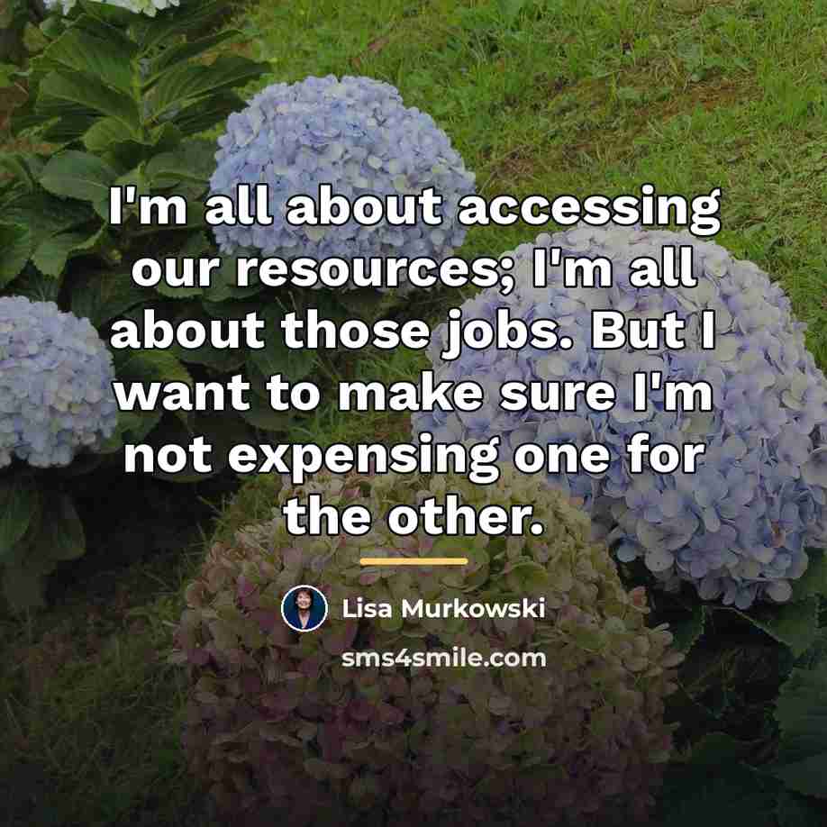 “I'm all about accessing our resources; I'm all about those…” quote by Lisa Murkowski