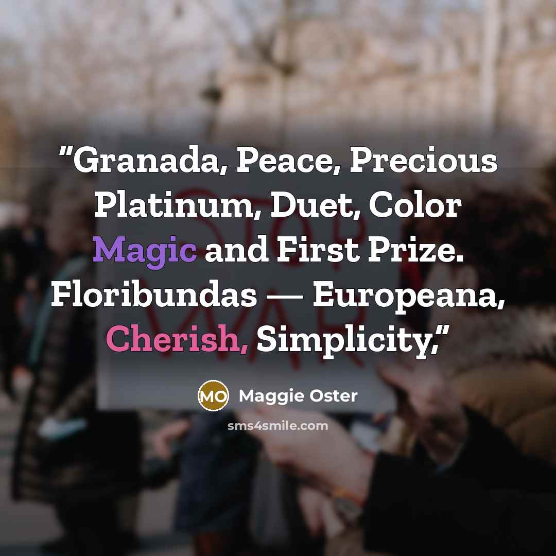 “Granada, Peace, Precious Platinum, Duet, Color Magic and First Prize. Floribundas — Europeana, Cherish, Simplicity,” quote by Maggie Oster