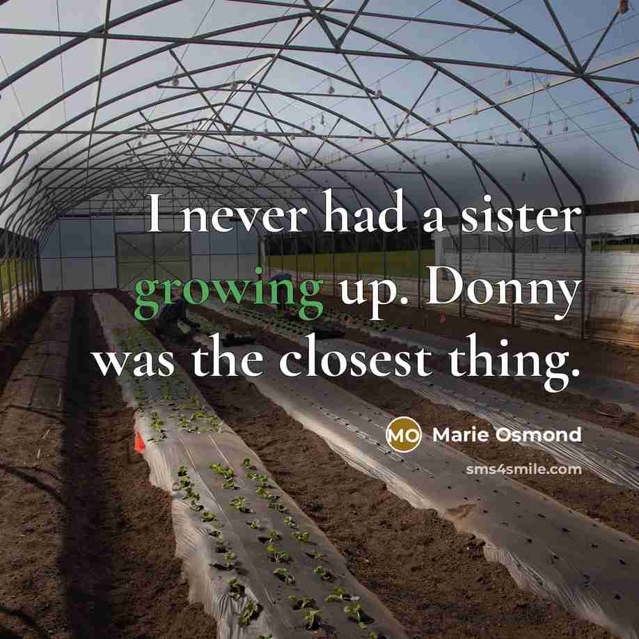 “I never had a sister growing up. Donny was the…” quote by Marie Osmond