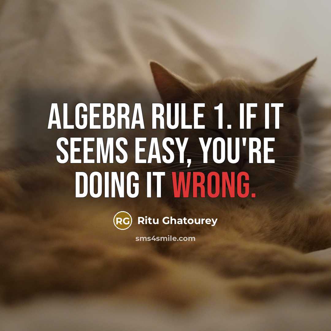 “Algebra rule 1. If it seems easy, you're doing it…” quote by Ritu Ghatourey