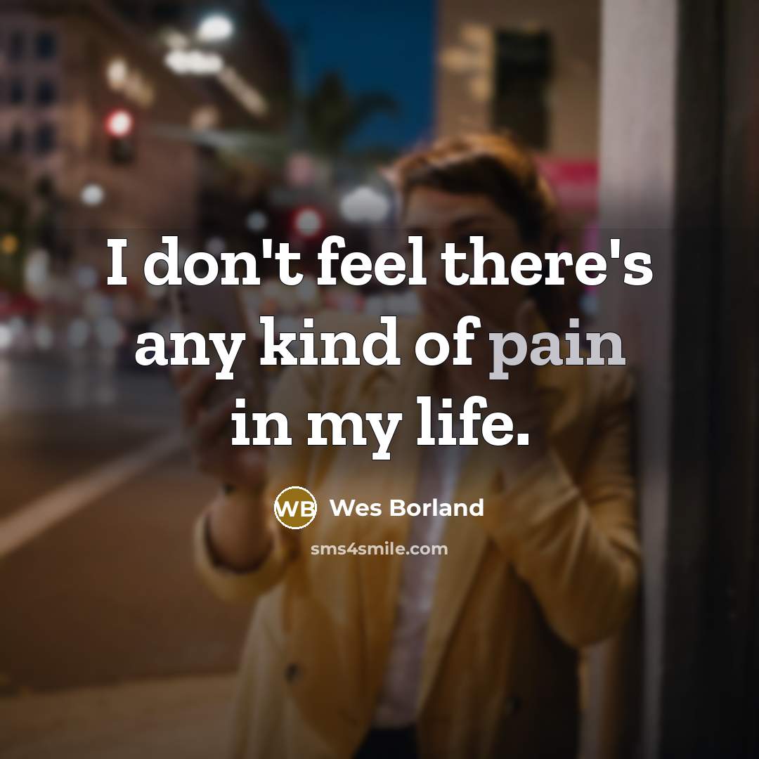 “I don't feel there's any kind of pain in my life.” quote by Wes Borland