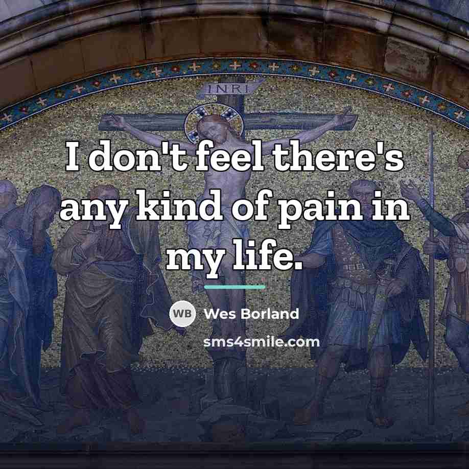 “I don't feel there's any kind of pain in my…” quote by Wes Borland