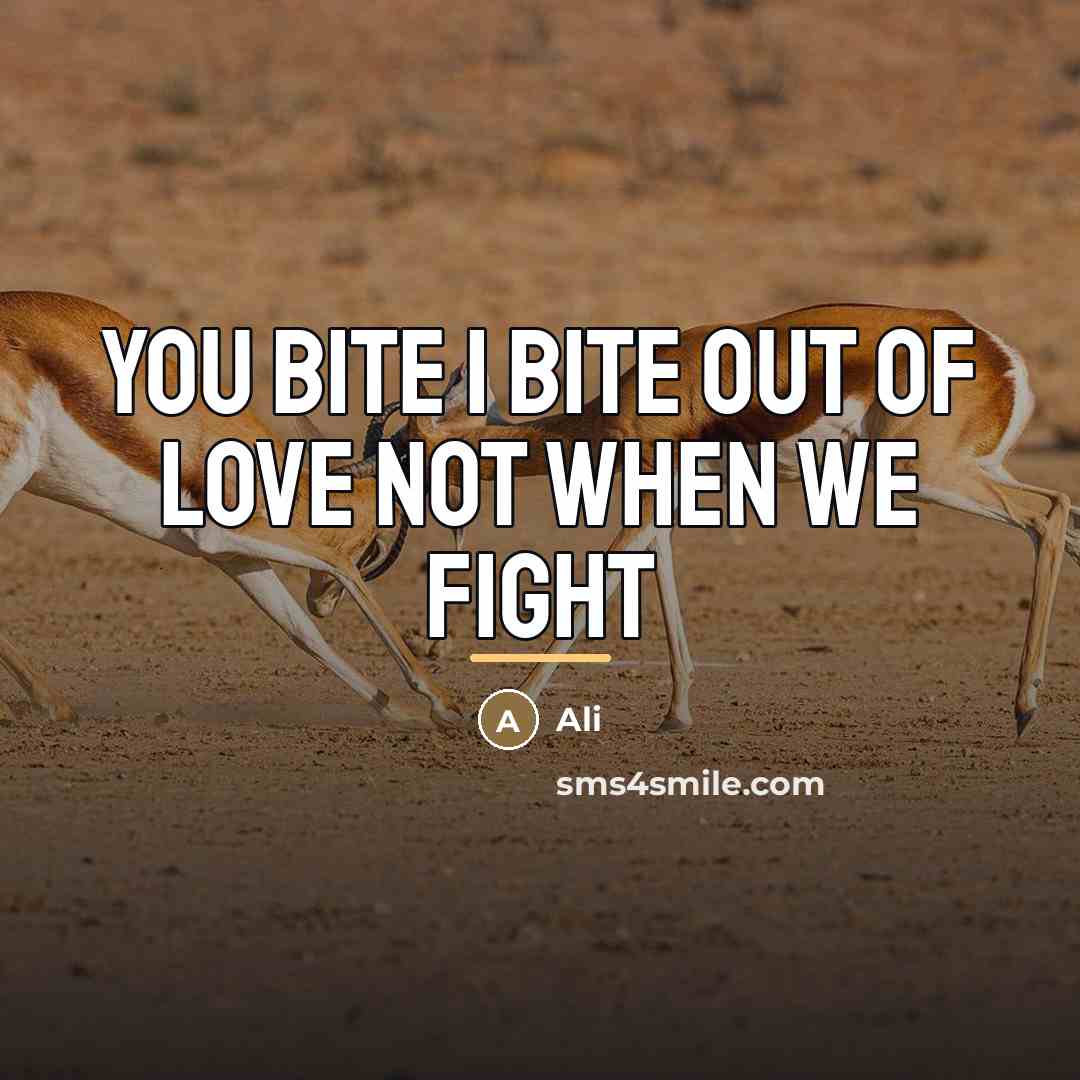 “You bite I bite out of love not when we…” quote by Ali
