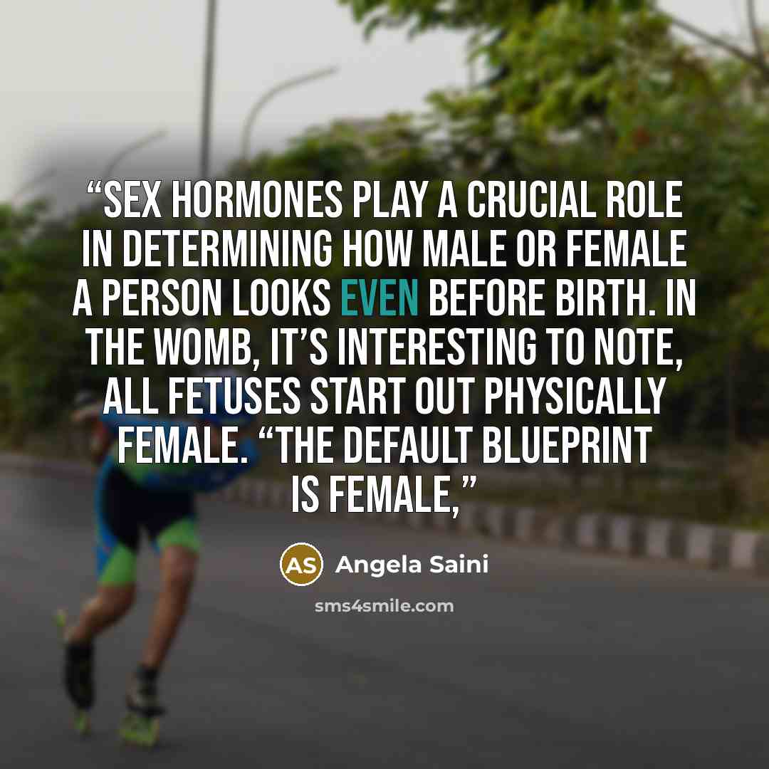 “Sex hormones play a crucial role in determining how male or female a person looks even before birth. In the womb, it’s interesting to note, all fetuses start out physically female. “The default blueprint is female,” quote by Angela Saini