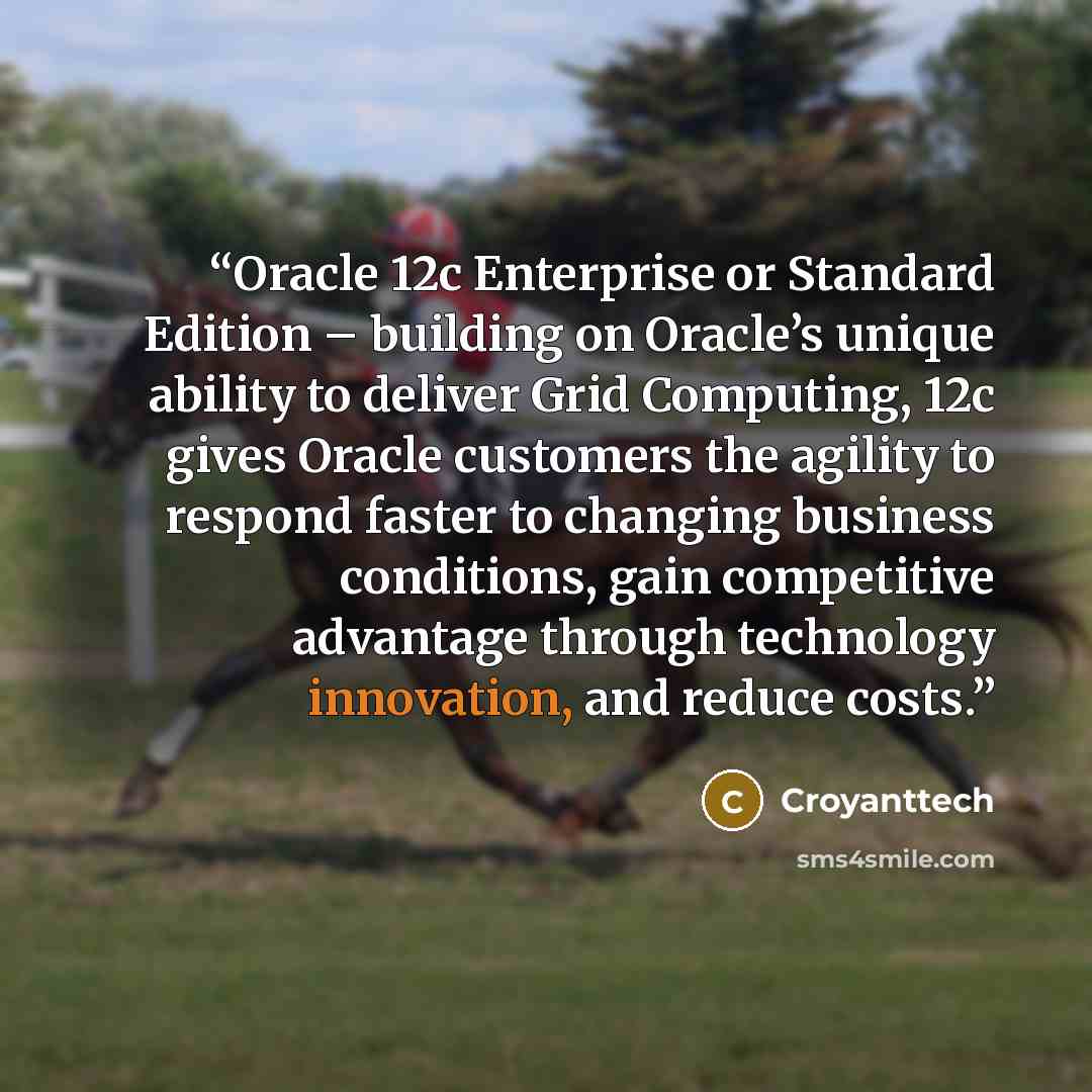 “Oracle 12c Enterprise or Standard Edition – building on Oracle’s unique ability to deliver Grid Computing, 12c gives Oracle customers the agility to respond faster to changing business conditions, gain competitive advantage through technology innovation, and reduce costs.” quote by Croyanttech